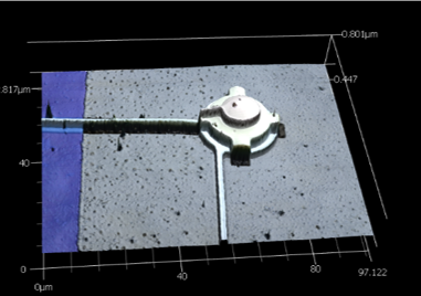 Surface profile of released drumhead capacitor