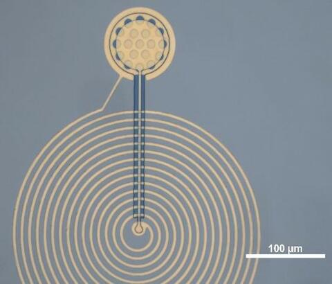 Niobium titanium nitride drumhead resonator on silicon