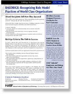 CEO Issue Sheet - Recognizing Role Model Practices Cover Page