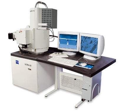 Low Vacuum, Field Emission Scanning electron Microscope