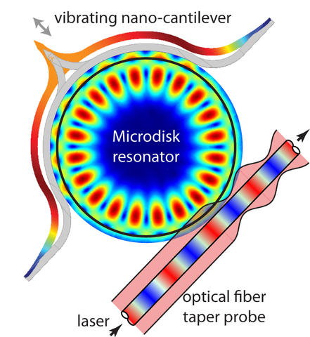 Schematic of the disk-cantilever sensor geometry.