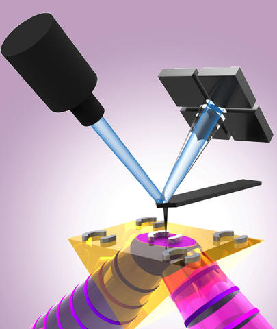Schematic showing the photothermal induced resonance (PTIR) technique, which combines the lateral resolution of atomic force microscopy (AFM) with the chemical specificity of IR spectroscopy. A wavelength-tunable, pulsed IR laser (purple) illuminates a sample consisting of plasmonic gold resonators from the below. The resulting thermal expansion of the sample is detected locally by the AFM cantilever tip, which is monitored by reflecting a laser (blue) off the back of the cantilever. Schematic showing the photothermal induced resonance (PTIR) technique, which combines the lateral resolution of atomic force microscopy (AFM) with the chemical specificity of IR spectroscopy. A wavelength-tunable, pulsed IR laser (purple) illuminates a sample consisting of plasmonic gold resonators from the below. The resulting thermal expansion of the sample is detected locally by the AFM cantilever tip, which is monitored by reflecting a laser (blue) off the back of the cantilever.