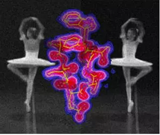 structure_dynamics_random