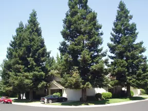 photo of house surrounded by trees