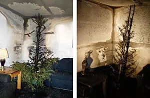 photos of two Christmas trees