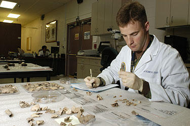 A U.S. Navy forensic odontologist studies dental remains