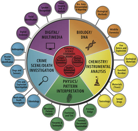 osac-circular-org-chart-6