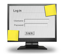 Implementing Enterprise-Wide Password Management Solutions: Best Practices