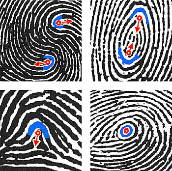 fingerprints