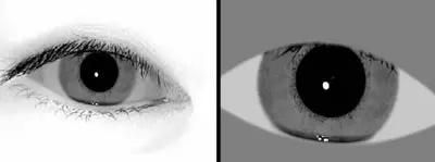 iris images