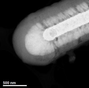 STEM image of an individual battery