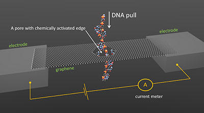 DNA sequencing through a graphene nanopore