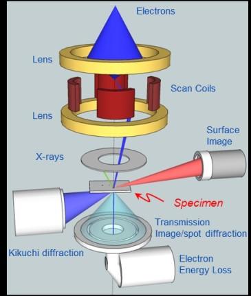 analytical_trans