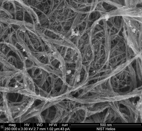 Carbon Nanotubes imaged via Focused Ion Beam Scanning Electron Microscope.