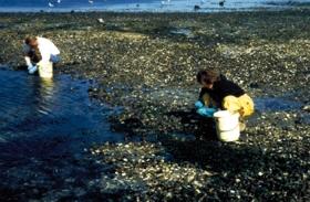 Photo showing two NIST staff collecting samples along a shoreline.
