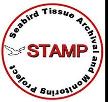 Illustration of a logo for the Seabird Tissue Archival and Monitoring Project, with lettering inside of a red circle and STAMP centered in bold red letters. 