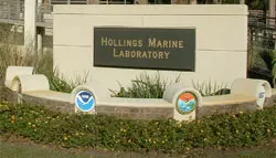 An exterior building sign reading "Hollings Marine Laboratory"
