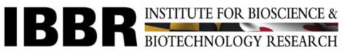 IBBR_Logo