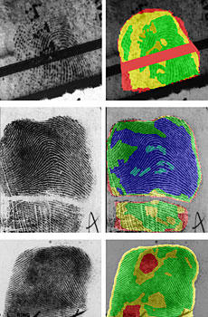 fingerprints