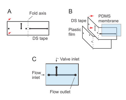 Microfluidic Device