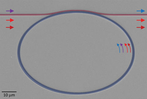 False-color scanning electron micrograph of a nanophotonic frequency converter