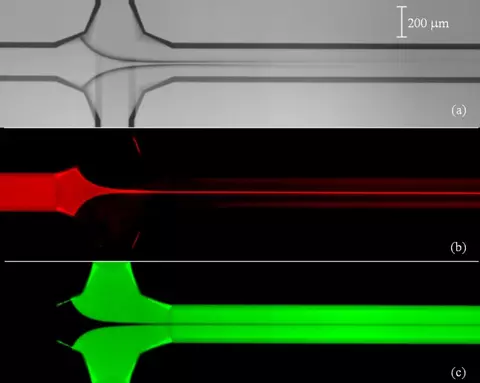 three rows. First gray with black pattern. Second black with red stripe. Third black with green stripe
