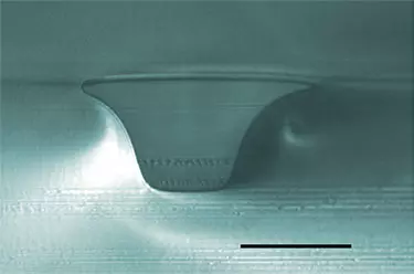 Microfluidic channels (colorized)