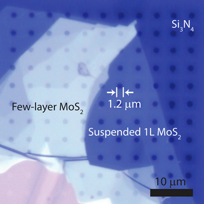 micrograph of moly flakes