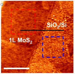 mos2 silver interface