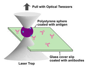 optical tweezer-based sensor