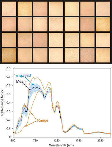 skin reflectance graphs