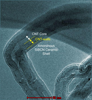 nanotube composite