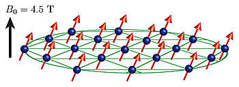 ion crystal schematic