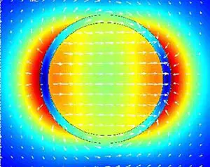 Field within and around a 60 nm radius gold nanoring
