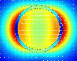 Field within and around a 60 nm radius gold nanoring