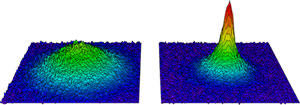 False color images of the molecular Bose-Einstein condensate forming
