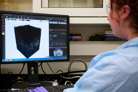 A researcher works at a computer with the screen showing a black scaffold structure on a white background.