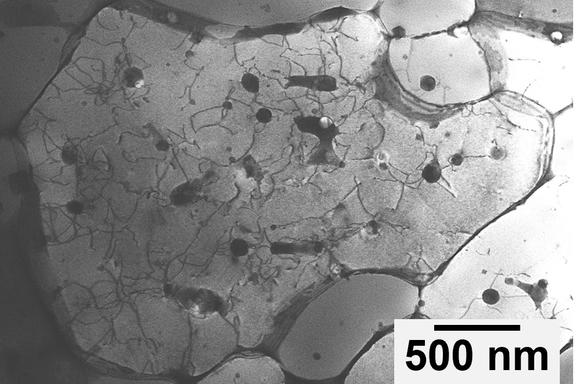 A black and white image of the aluminum alloy under a microscope. Most of the image is light grey, but there are many small black spots that have lines extending out from them like cracks.