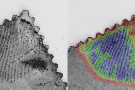 A postage stamp with a fingerprint on it is shown twice, once in black and white and then with different regions colorized.