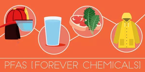 Illustration shows firefighter helmet, glass of water, steak and lettuce, and a raincoat, and reads: HDYMI? PFAS [FOREVER CHEMICALS]