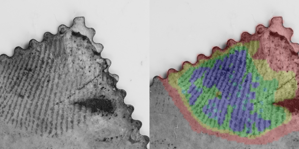 A postage stamp with a fingerprint on it is shown twice, once in black and white and then with different regions colorized.