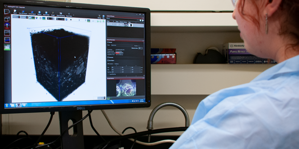 A researcher works at a computer with the screen showing a black scaffold structure on a white background.