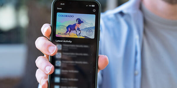 Close-up of a smartphone held in a person's hand, showing a Colorado mobile driver's license with an image of a bighorn sheep. 
