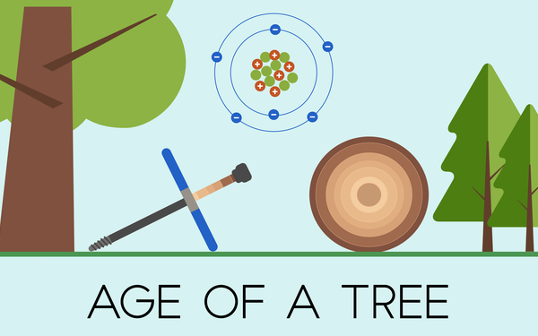 Illustration shows a tree with a T-shaped coring tool, an atom, and a tree cross section with rings and reads: Age of a Tree