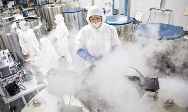 Photograph of a researcher accessing samples stored in a liquid nitrogen vapor freezer in a clean room.