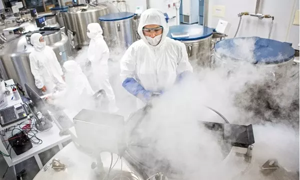 Photograph of a researcher accessing samples stored in a liquid nitrogen vapor freezer in a clean room.