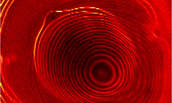 STM image of electrons in two coupled quantum dots