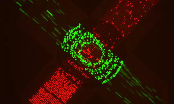 the D squared M squared CM device in action. Red and green cells filter through membranes to meet in the middle of an X pattern.