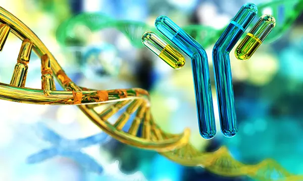 illustrated strand of DNA and Y chromosome