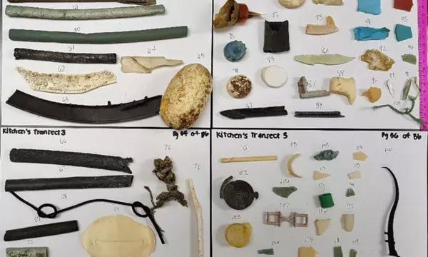  Plastic marine debris from a windward beach of the Main Hawaiian Islands catalogued and awaiting polymer identification.
